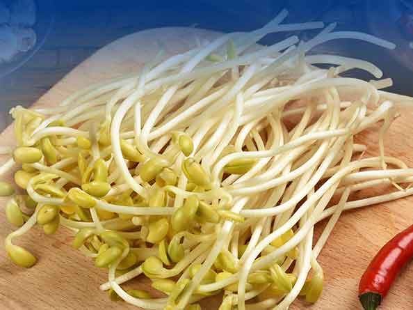 豆芽检测