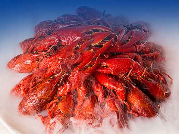 淡水虾检测
